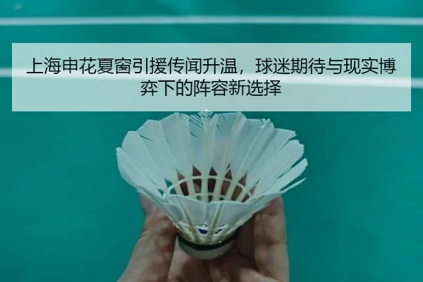 上海申花夏窗引援传闻升温，球迷期待与现实博弈下的阵容新选择