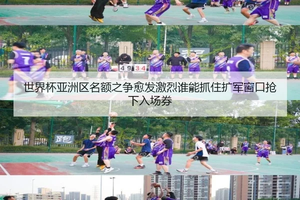 img_1781370194665_96_2_828.jpg